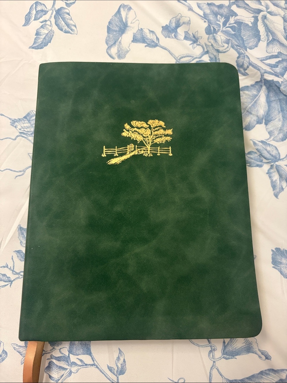 Hosanna Revival NLT Journal Bible - New